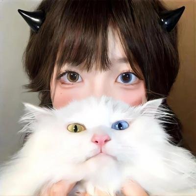 佛莱切